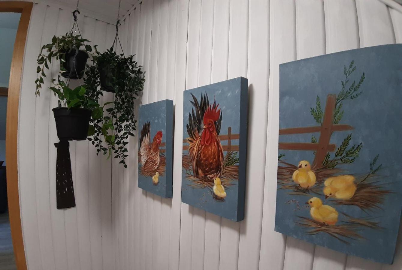 Dandelion Bed & Breakfast Ribeauville  Ngoại thất bức ảnh